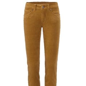 CAbi Skinny cords in Umber size 10 VGUC